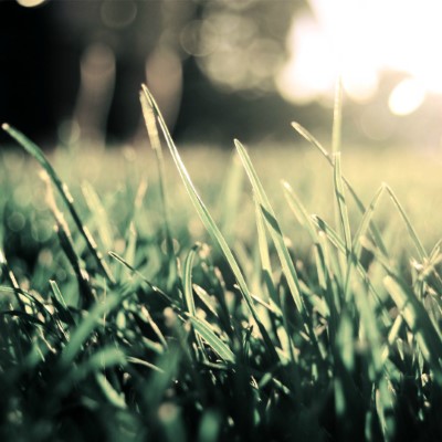 1920 x 1080 HD Wallpapers 1825